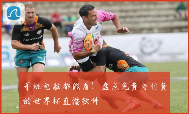 手机电脑都能看！盘点免费与付费的世界杯直播软件